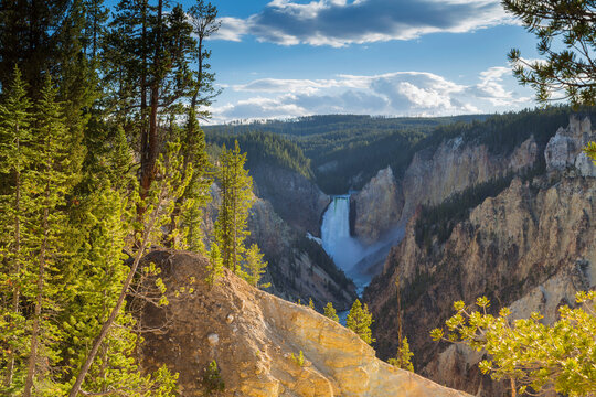Lower Falls in the Grand Canyon, Yellowstone National Park, Wyom