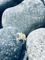 Viaje a Lima-Perú.
Algunas fotografías son de Machu Ppicchu, otras del mar.