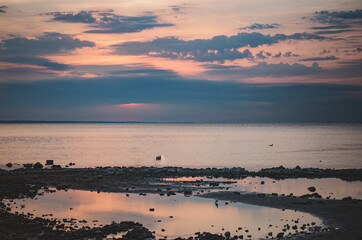 Naklejka premium Sandy-rocky shore of the Gulf of Finland at sunset in summer.