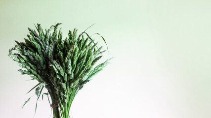 A bouquet of field herbs on a light background.