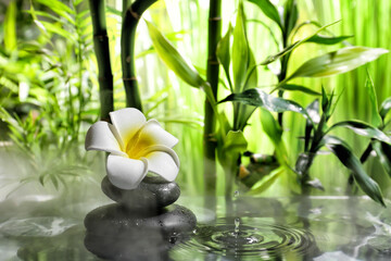 Lake with stack of spa stones and beautiful flower in tropical garden