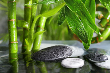 Obraz na płótnie Canvas Lake with spa stones and bamboo in tropical garden