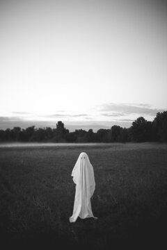 Ghost in a Field