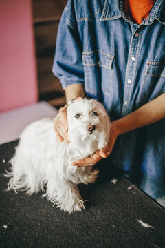 Woman peting a scared dog