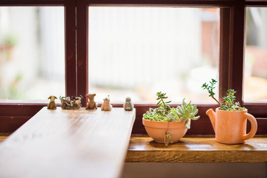 Succulent plants in pottery and cute decorations on windowsill