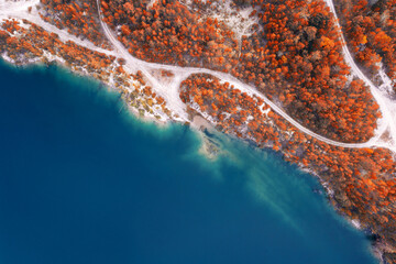 Aerial view of a blue lake near the shore with a beautiful autumn forest with orange trees and gravel roads.
