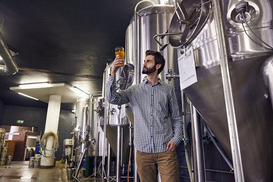 craft brewery beer