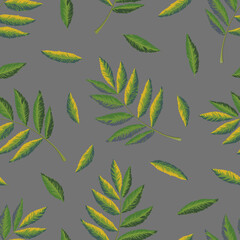 Vector seamless pattern witn rowan leaves on a grey background