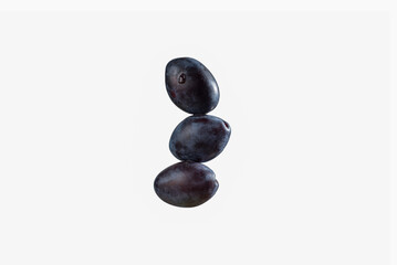 Prunus spinosa blackthorn or sloe on white background 