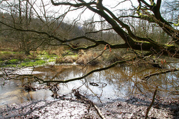 Biotope und Naturschutz in der Nähe von Blumenthal.. Beckedorf, Niedersachsen, Deutschland, Europa