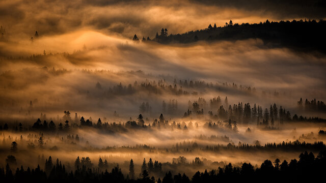 Sunrise over the mountain forest. Bieszczady National Park. Carpathian Mountains. Poland. © Szymon Bartosz