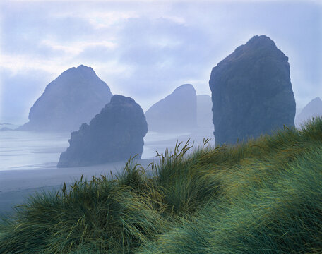 short break between storm fronts cape sebastian oregon seastack sea stack grasses dunes coast
