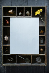 autumn themed collection of curiosities flat lay mockup with copyspace, witchy things on desk with room for copy or art mock up