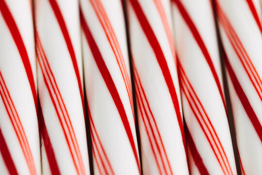 Peppermint striped candy canes lined in a row
