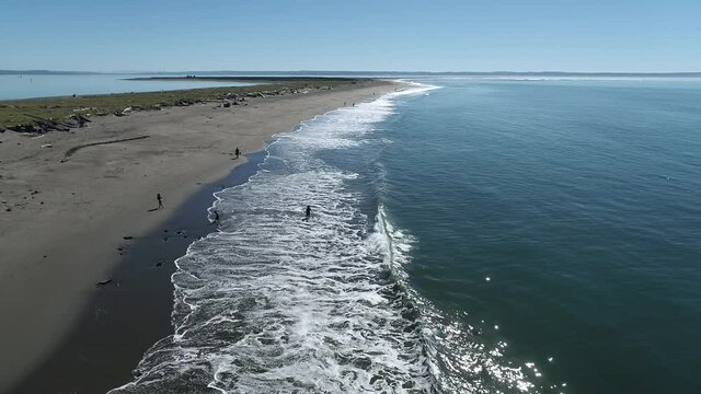 Damon Point Shoreline