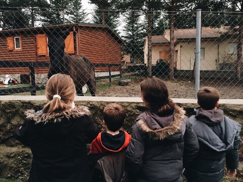 Kids Taking Pictures to a Farm Horse