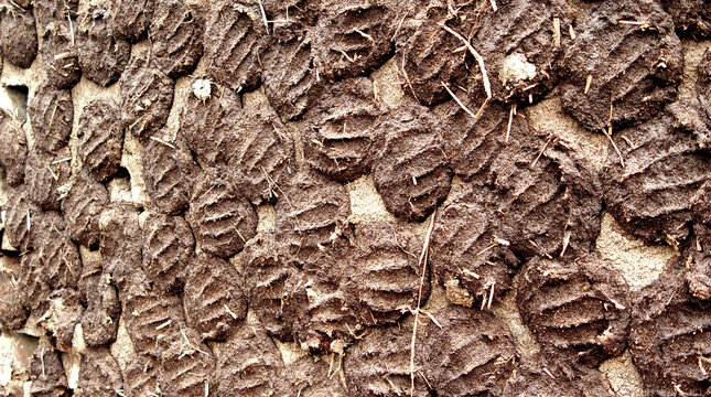 COW DUNG CAKE TO BE USED TO LIT FIRE