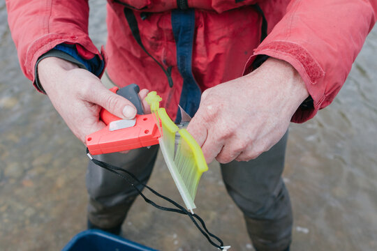Scientist marking a fish with an external tag