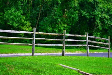 wooden fence and green grass