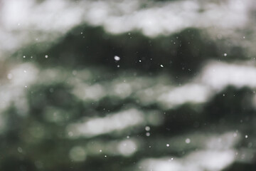 Snow bokeh