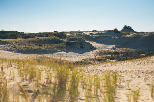 Dunes at Provincetown, Cape Cod Massachusetts
