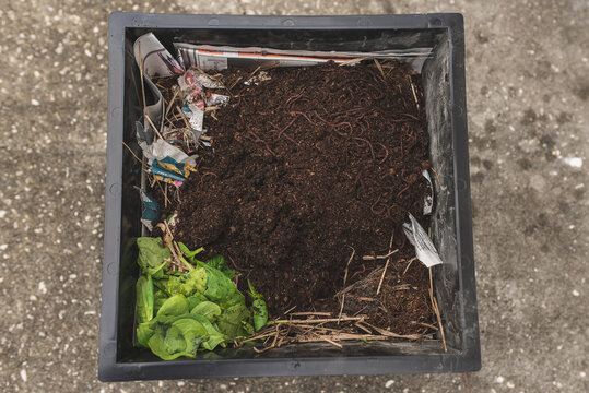 A Worm Farm Composter Bin