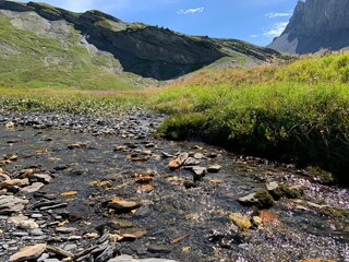 stream in the mountains