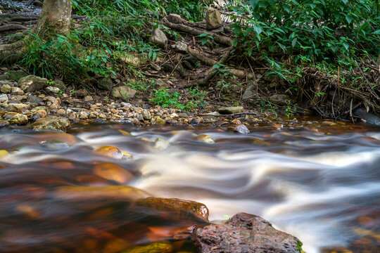 Forest Creek Running Through The Stones. Nature Landscape With Long Exposure Shot