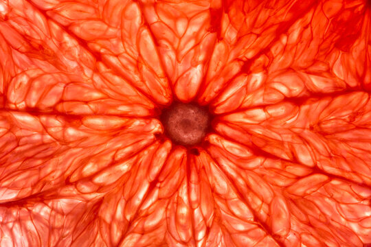 Grapefruit structure macro