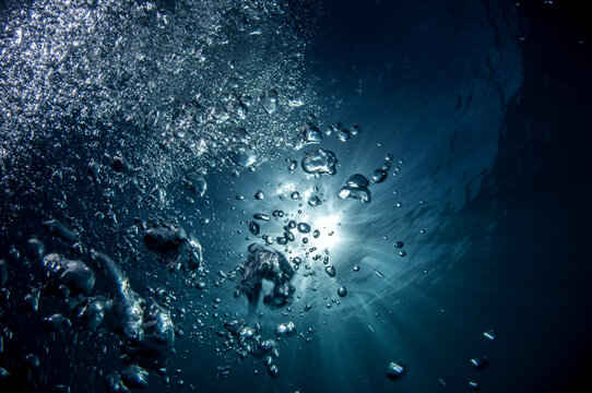 Scuba Diving Bubbles