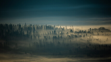 Fototapeta premium Sunrise over the mountain forest. Bieszczady National Park. Carpathian Mountains. Poland.