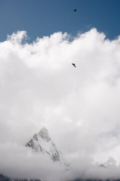 peak in the clouds