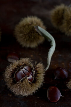 Chestnuts