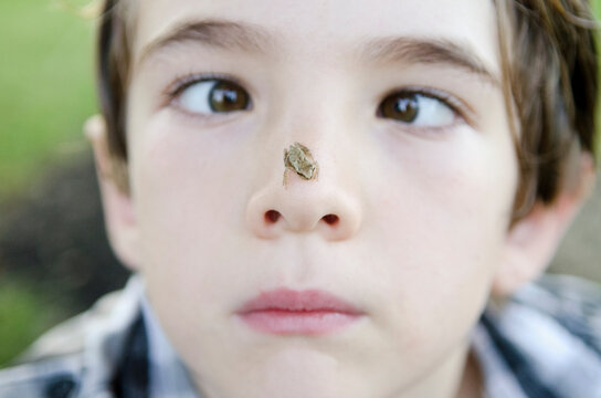 Boy goes cross eyed as he examines a small frog on his nose