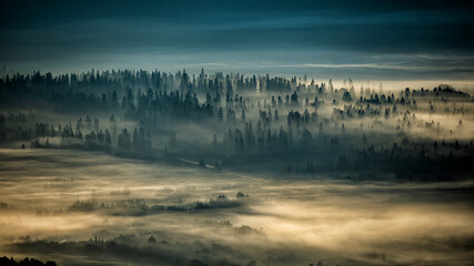 Sunrise over the mountain forest. Bieszczady National Park. Carpathian Mountains. Poland.