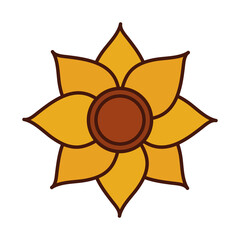 sunflower flower nature decoration line and fill icon
