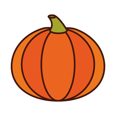 vegetable fresh pumpkin harvest line and fill icon