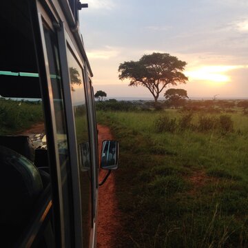 Safari