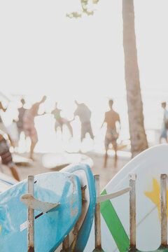 Rows of surfboards at beach