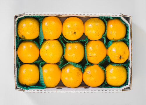 crate of fresh temple oranges