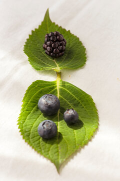 Blueberries and a blackberry on two leaves.