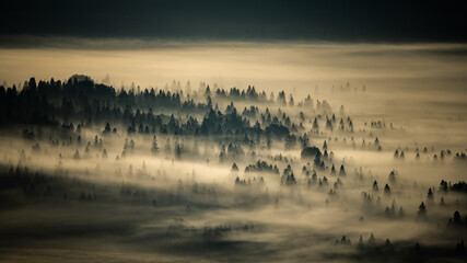 Obraz na płótnie Canvas Sunrise over the mountain forest. Bieszczady National Park. Carpathian Mountains. Poland.
