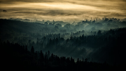 Sunrise over the mountain forest. Bieszczady National Park. Carpathian Mountains. Poland.
