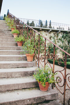 Potted plants adorning a stone staircase with iron railing at a Tuscan villa