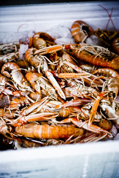 Langoustines