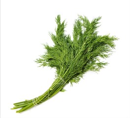 A bunch of green dill on a white background.