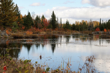 Autumn stock photos. Autumn scenery landscape showing colourful nature autumn scene with colourful trees, water, cattails, foliage, bleu sky, buffy clouds in a tranquility feeling.