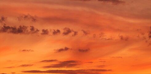 Fototapeta na wymiar Clouds on a sunset sky background.