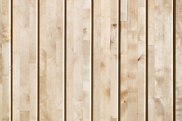 Wood texture background, plank fence.