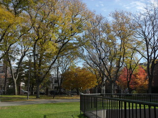 autumn in the park